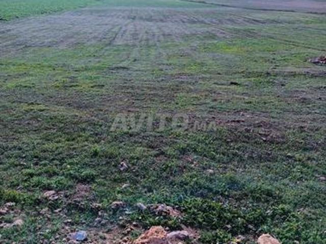 Propriété vente à El Ma, Gharb-Chrarda-Beni Hssen