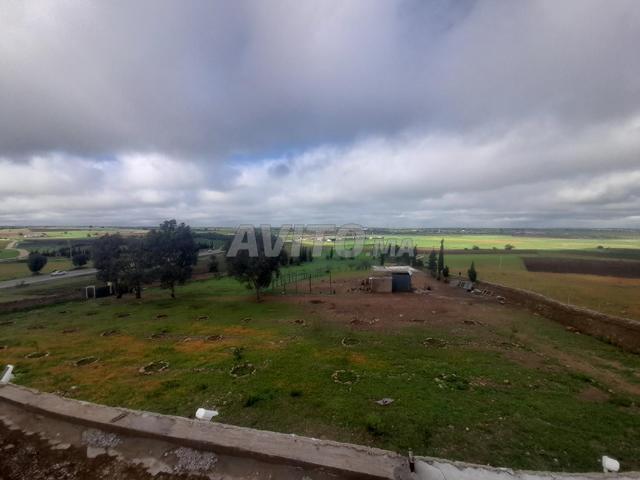 Propriété vente à El Ma, Gharb-Chrarda-Beni Hssen