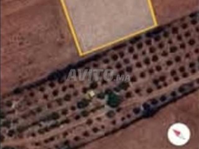 Propriété vente à Sidi Moussa El Majdoub, Gharb-Chrarda-Beni Hssen