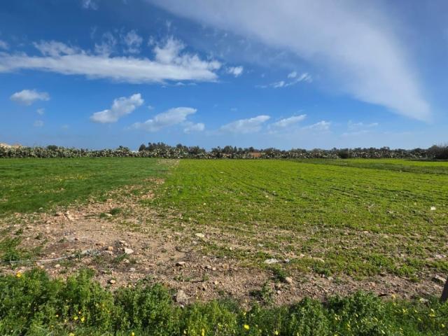 Terrain vente à Nabeul, Beni Khalled