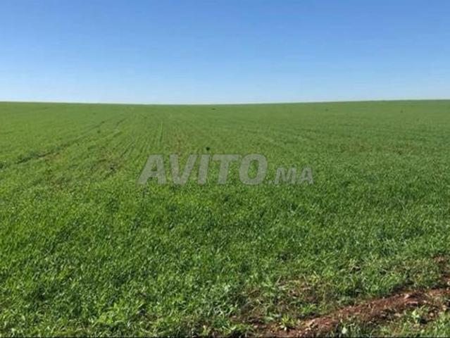 Propriété vente à Settat, Gharb-Chrarda-Beni Hssen