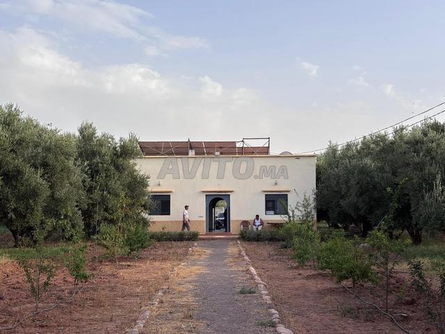 Propriété vente à Laattaouia, L'Oriental