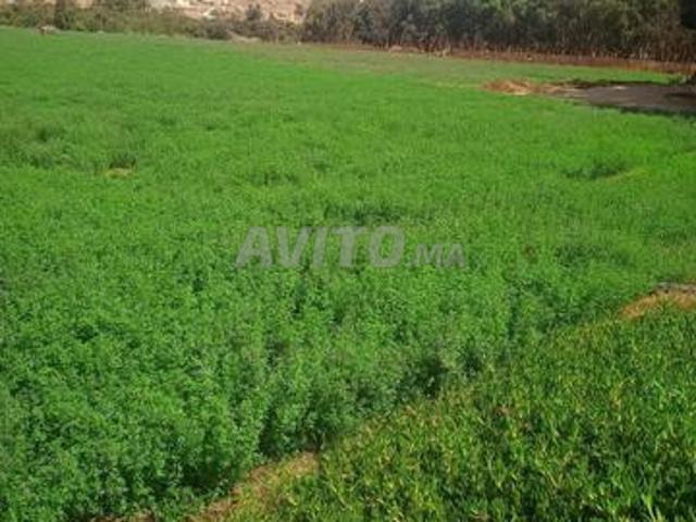 Propriété location à Agadir, Oued ed Dahab-Lagouira