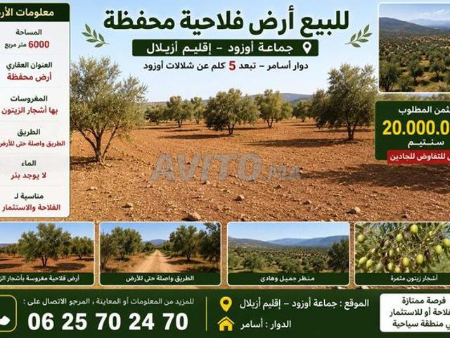 Propriété vente à Azilal