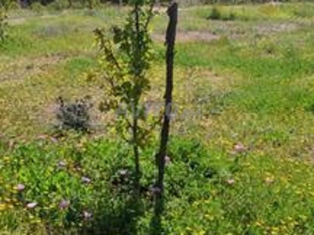 Propriété vente à Ziaida, Gharb-Chrarda-Beni Hssen