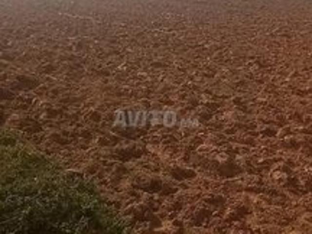 Propriété vente à Larache, Tanger-Tétouan