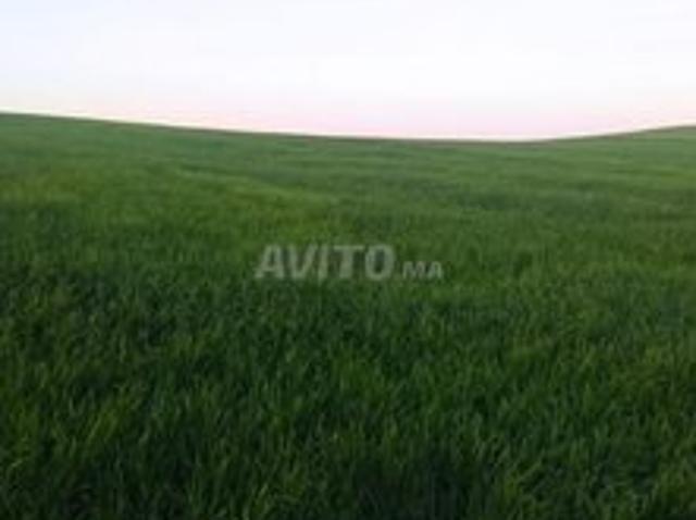 Propriété vente à Larache, Tanger-Tétouan