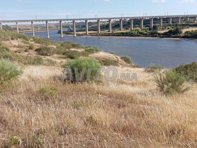 Propriété vente à El Ma, Gharb-Chrarda-Beni Hssen