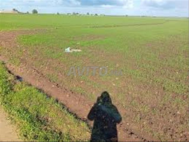 Propriété vente à El Ma, Gharb-Chrarda-Beni Hssen