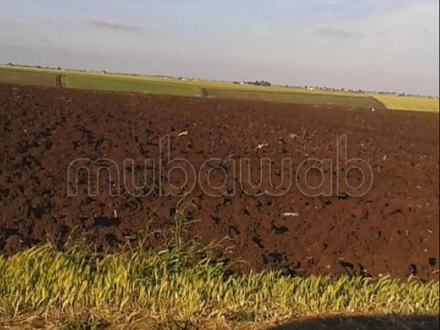 Terrain vente à Ben Slimane, Chaouia-Ouardigha