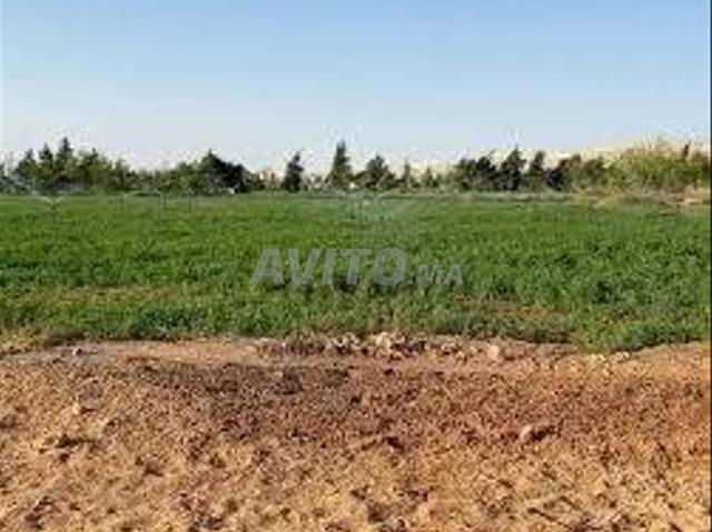 Propriété vente à Settat, Gharb-Chrarda-Beni Hssen