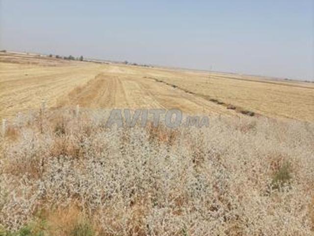 Propriété vente à Settat, Gharb-Chrarda-Beni Hssen