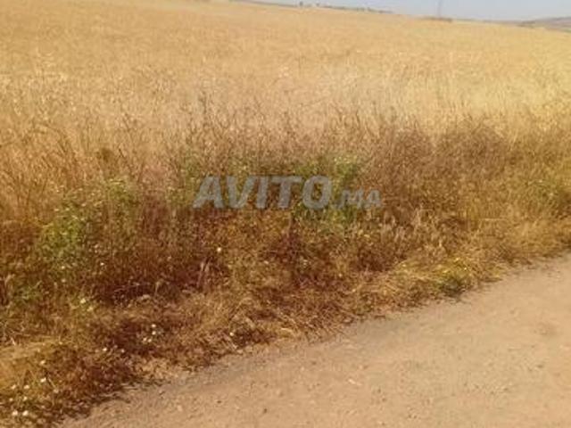 Propriété vente à Gharb-Chrarda-Beni Hssen