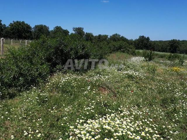 Propriété vente à Témara