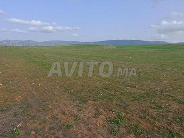 Propriété vente à Azrou