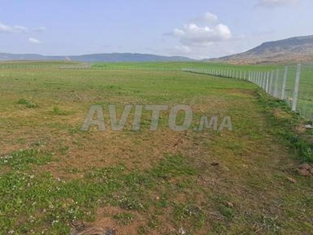 Propriété vente à Khénifra