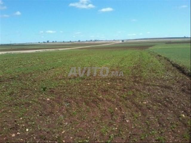 Propriété vente à Settat, Gharb-Chrarda-Beni Hssen