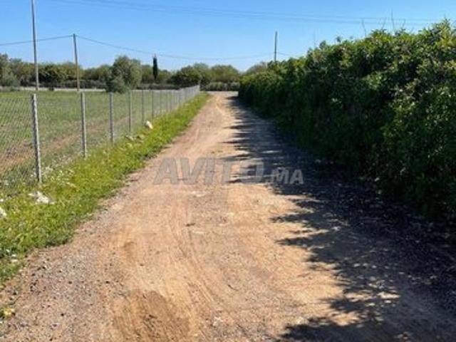 Propriété vente à Slimane, Gharb-Chrarda-Beni Hssen