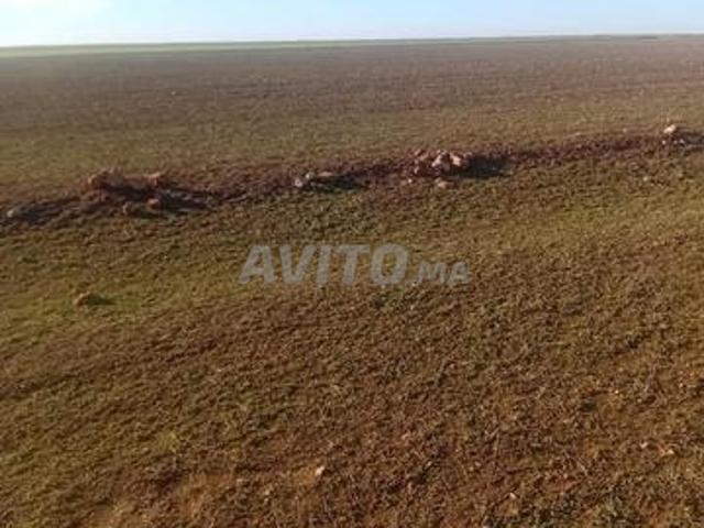 Propriété vente à Agadir, Oued ed Dahab-Lagouira