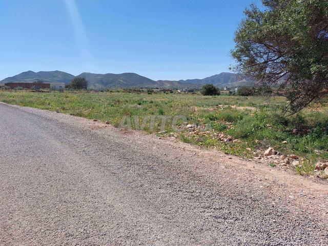 Propriété vente à Nador