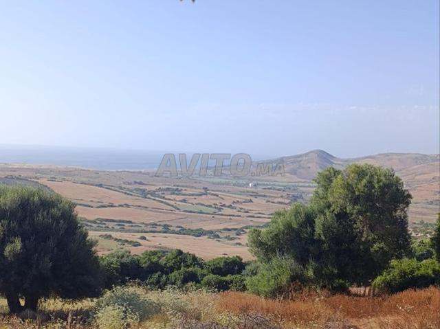Propriété vente à Assilah, Tanger-Tétouan