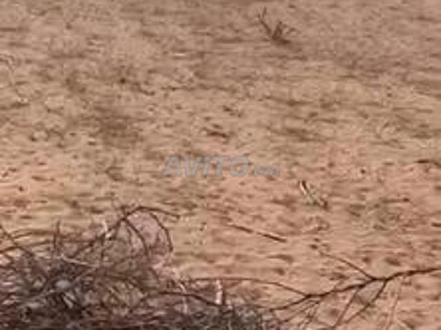Propriété vente à Agadir, Oued ed Dahab-Lagouira