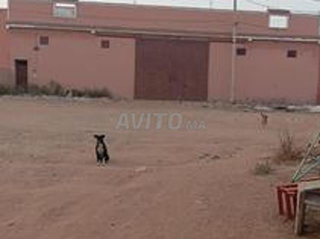 Local commercial vente à Sidi Bennour, Gharb-Chrarda-Beni Hssen