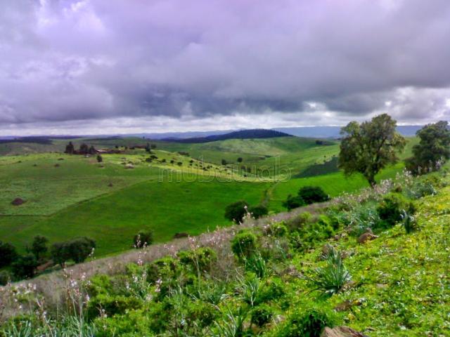 Terrain vente à Gharb-Chrarda-Beni Hssen