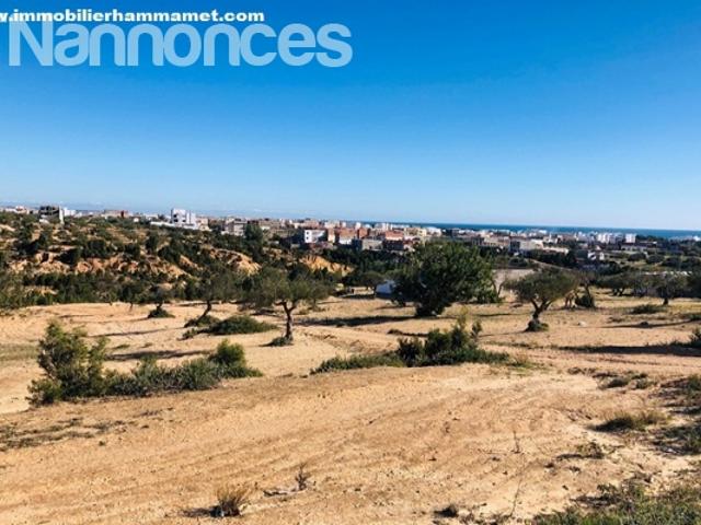 Terrain vente