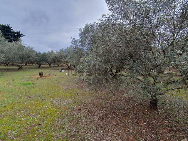 Terrain vente à Aigues-Vives, Gard