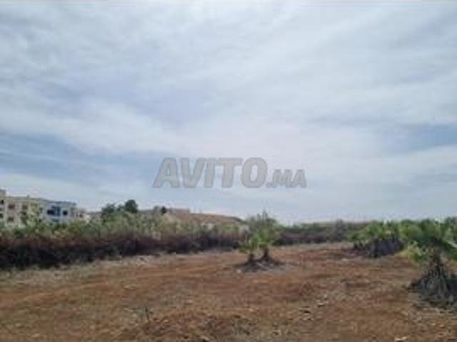 Propriété vente à Ain Beida, Tanger-Tétouan