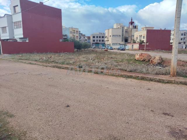 Propriété vente à Ain Cheggag