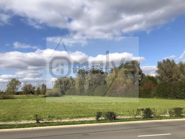 Terrain vente à Pecqueur, Aire-sur-la-Lys