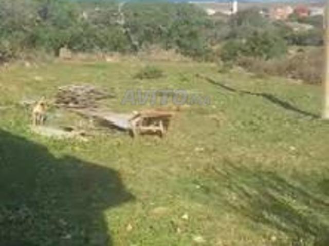 Propriété vente à Tangero, Tanger-Tétouan
