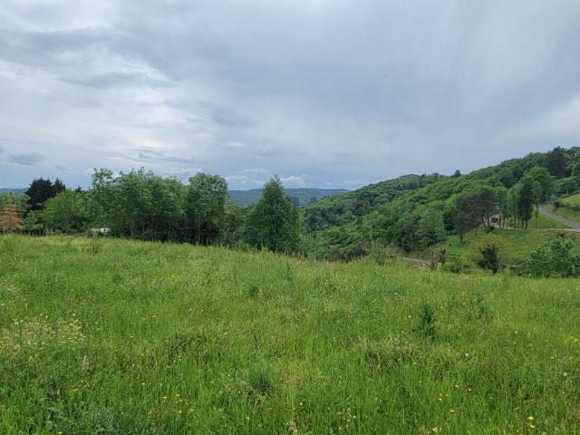 Terrain vente à Albignac, Corrèze