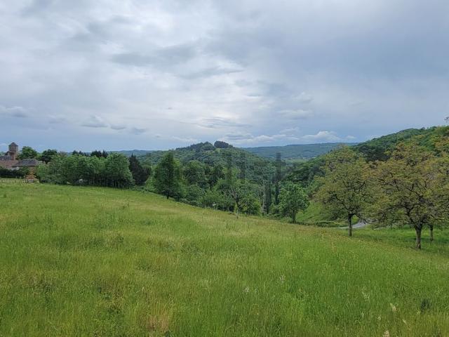 Terrain vente à Albignac, Corrèze