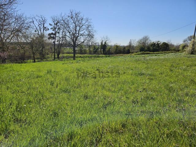 Terrain vente à Allerey-sur-Saône, Saône-et-Loire