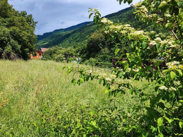 Terrain vente à Plan Thiomas et Retourdière, Allevard