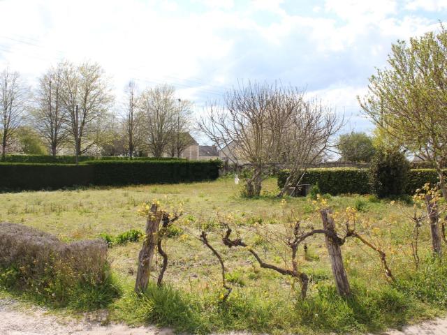 Terrain vente à Les Champs Brunet, Allonnes