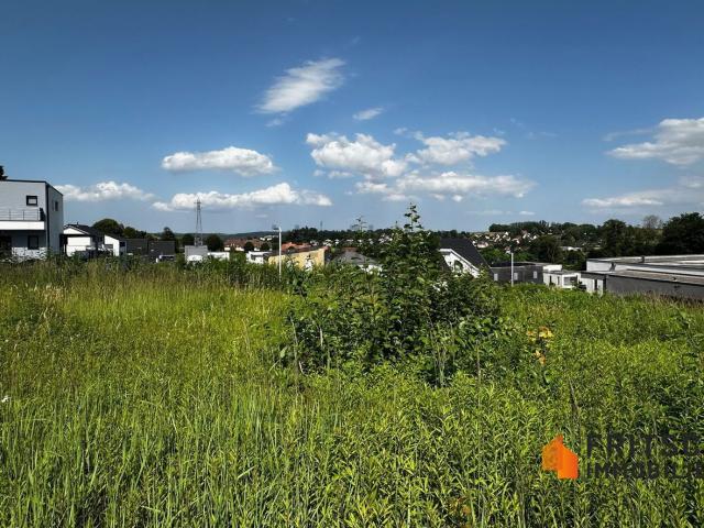 Terrain vente à Altkirch, Collectivité européenne d'Alsace