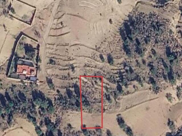 Terrain vente à Aourir, Oued ed Dahab-Lagouira