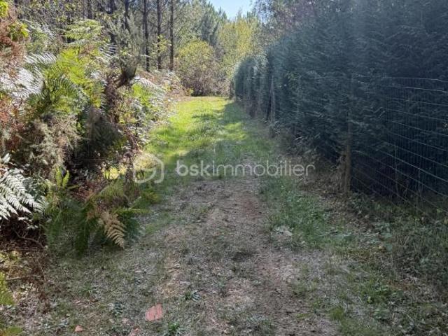 Maison vente à France métropolitaine, Fossemagne