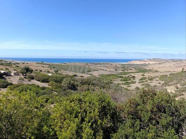 Propriété vente à Assilah, Tanger-Tétouan