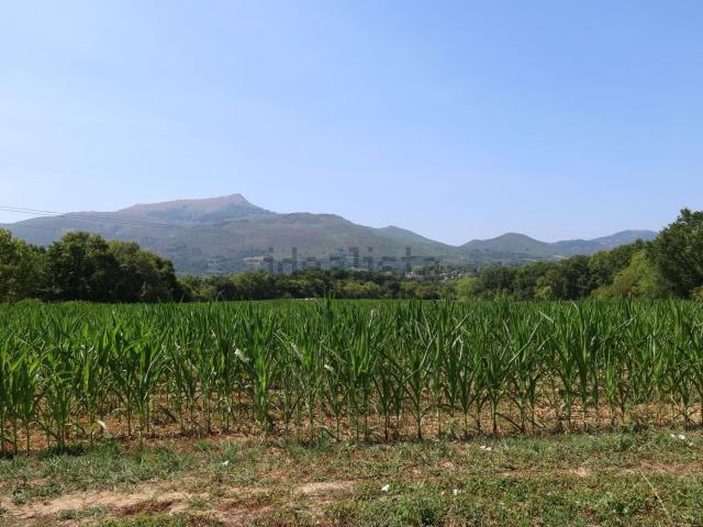 Terrain vente à Lapurdi, Ascain