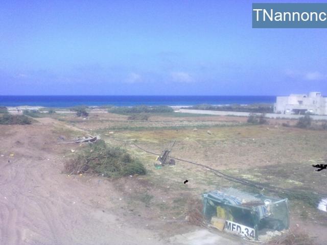 Terrain location