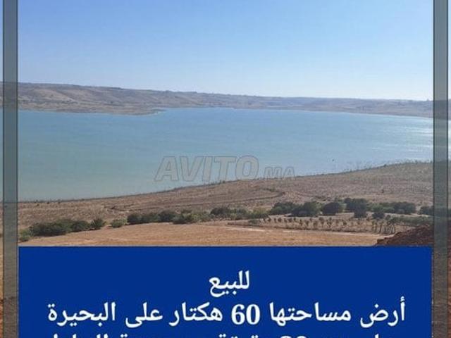 Propriété vente à Hay Riad, Berkane