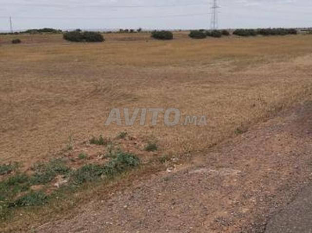 Propriété vente à Sidi Bennour, Gharb-Chrarda-Beni Hssen