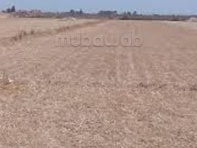 Terrain vente à Ouled, Oued ed Dahab-Lagouira
