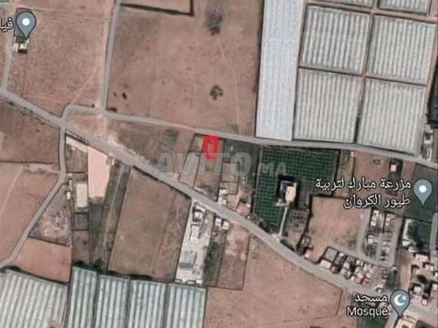 Propriété vente à Sidi Bidi, Oued ed Dahab-Lagouira