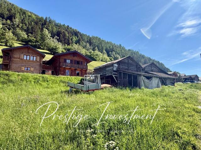 Grundstück kaufen in Baar, Nendaz, Wallis